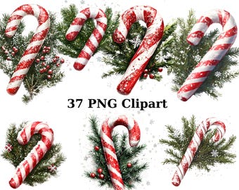 37 Christmas Candy Canes Clipart, Christmas Clipart, PNG individual images on transparent background, sublimation