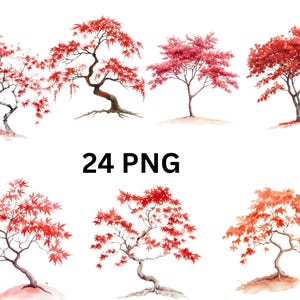 Aquarell roter Ahorn Baum Clipart | 24 PNG Einzelbilder auf transparentem Hintergrund, Sublimation