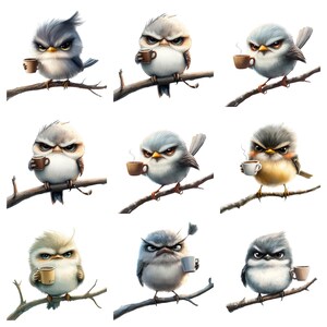 45 Grumpy Birds Watercolor Clipart, Whimsical Clipart, PNG Individual ...