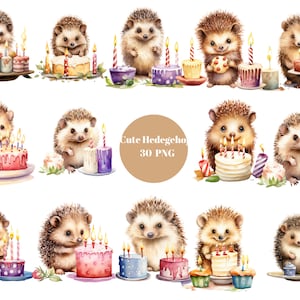 30 anniversaire hérissons aquarelle Clipart, hérisson fête, fichiers numériques PNG sur fond transparent, sublimation, usage commercial