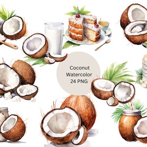 Watercolor Coconut Clipart, PNG digital files on transparent background, sublimation, commercial use