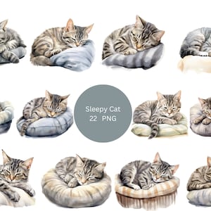 22 Sleepy Gray Tabby Cats Watercolor Clipart, Pets Clipart, PNG individual images on transparent background, sublimation