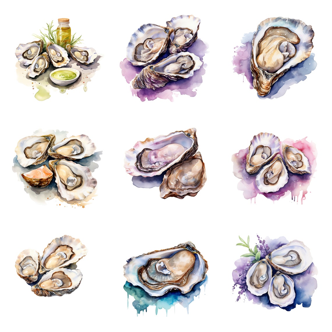 Watercolor Oysters Clipart, PNG Digital Files on Transparent Background ...
