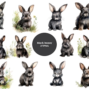 37 Black Bunny Acquerello Clipart, Clipart di Pasqua, singole immagini PNG su sfondo trasparente, sublimazione