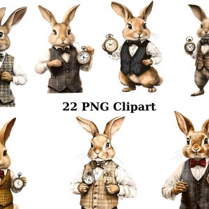 22 Gentleman Rabbits aquarel clipart, dieren clipart, individuele png-afbeeldingen op transparante achtergrond, sublimatie