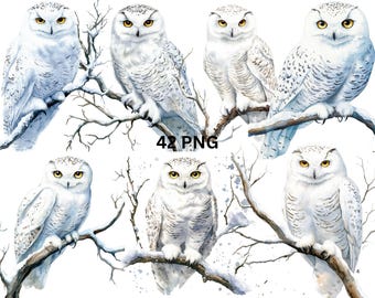42 匹の白いフクロウの水彩画クリップアート、透明な背景の PNG 個別