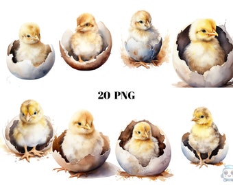 20 Baby Chick Hatching Watercolor Clipart, Bird Clipart, PNG digital files on transparent background, sublimation, commercial use