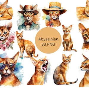 Watercolor Abyssinian Cats Clipart, PNG digital files on a transparent background, scrapbook, invitations