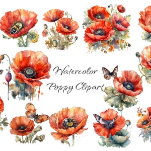 Aquarell Mohnblumen Clip Art, PNG digitale Dateien auf einem transparenten Hintergrund, Mohnblumen und Sträuße, kommerzielle Nutzung