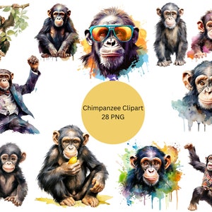 Peut inclure: Un ensemble de clipart numérique de 10 illustrations à l'aquarelle de chimpanzés dans différentes poses. Les chimpanzés sont représentés dans un style ludique et fantaisiste, certains portant des lunettes de soleil, un nœud papillon et une chemise colorée. L'ensemble comprend une variété d'expressions, notamment le sourire, la surprise et la réflexion. Les illustrations sont parfaites pour ajouter une touche de fun et de personnalité à tout projet.