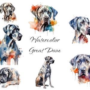 Watercolor Great Dane Clip Art, PNG digital files on transparent background, scrapbook, invitations, commercial use, instant download