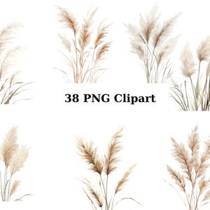 38 Pampa Grass Aquarell Clipart, Floral Clipart, PNG einzelne Bilder auf transparentem Hintergrund, Sublimation