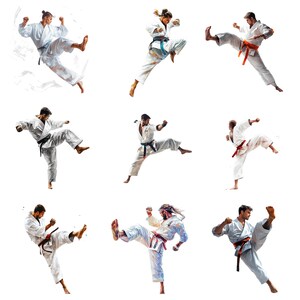 Martial Arts High Kick Clipart Set - 11 PNG Illustrations of Karate and ...