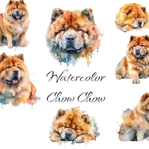 Watercolor Chow Chow Clip Art, PNG digital files on a transparent background, scrapbook, invitations, commercial use, instant download