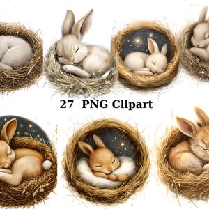 27 Clipart de aquarela de coelhos dormindo, Clipart de coelho, imagens individuais PNG em fundo transparente, sublimação