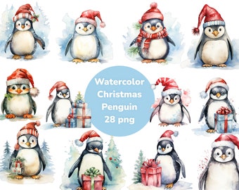 Watercolor Christmas Penguin, Penguin, Christmas, transparent background, high quality, clipart, 12x12, commercial use