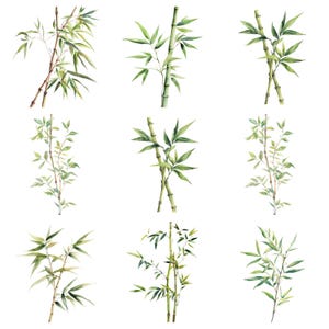 May include: Nine watercolour illustrations of bamboo plants with green leaves and stems. The bamboo plants are isolated on a white background.