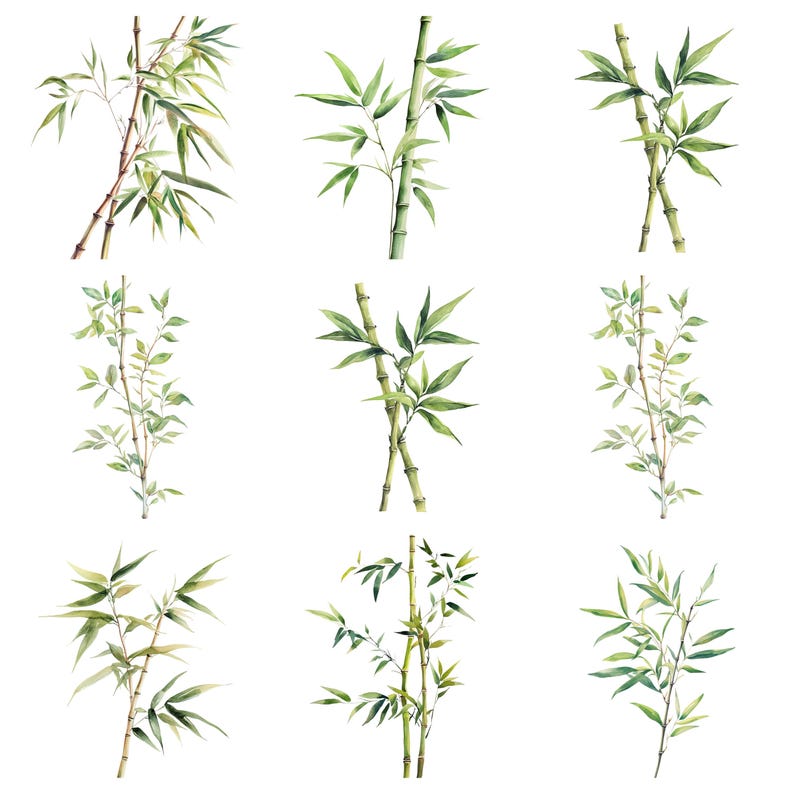 May include: Nine watercolour illustrations of bamboo plants with green leaves and stems. The bamboo plants are isolated on a white background.