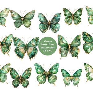 Clipart de borboletas verdes aquarela, arquivos digitais PNG em fundo transparente, sublimação, uso comercial