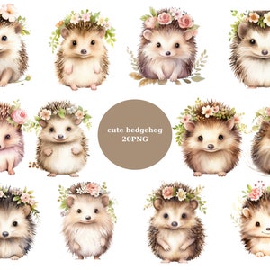 20 Cute Hedgehogs Watercolor Clipart, Woodland Clipart, Cute Animals, PNG individual images on transparent background, sublimation