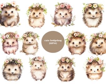 20 Cute Hedgehogs Watercolor Clipart, Woodland Clipart, Cute Animals, PNG individual images on transparent background, sublimation