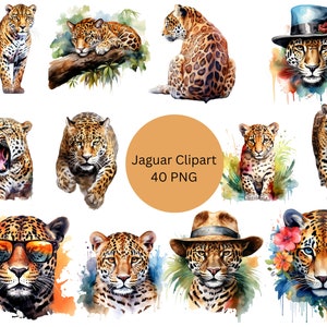 Aquarelle Jaguars Clipart, fichiers numériques PNG sur fond transparent, sublimation, usage commercial