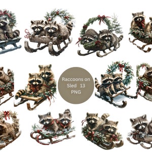 13 ratons laveurs sur le traîneau Clipart, clipart Noël, images individuelles PNG sur fond transparent, sublimation