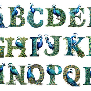 Alfabeto del pavone, lettere png, alfabeto png, download istantaneo per uso commerciale, alta risoluzione, 12x12, uso commerciale