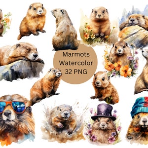 Watercolor Marmots Clipart, PNG digital files on transparent background, sublimation, commercial use