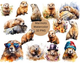 Aquarell Murmeltiere Clipart, digitale PNG-Dateien auf transparentem Hintergrund, Sublimation, kommerzielle Nutzung