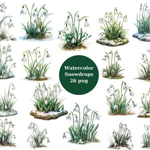 Watercolor Snowdrops Clipart, Spring, PNG digital files on transparent background, sublimation, commercial use