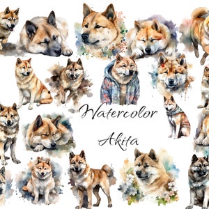 Watercolor Akita clipart, PNG digital files on a transparent background, scrapbook, invitations, commercial use, instant download