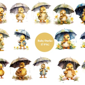 17 Baby Ducks in Rain Watercolor Clipart, Cute ducklings, PNG digital files on transparent background, sublimation, commercial use