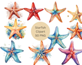 Watercolor Starfish Clipart, PNG digital files on transparent background, sublimation, commercial use
