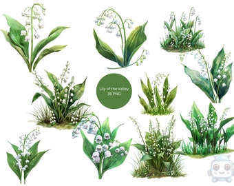 Watercolor Lilly of the Valley Clipart, PNG individual images on transparent background, sublimation, commercial use