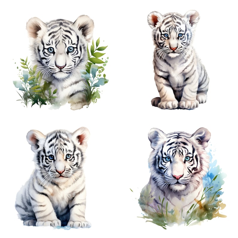 May include: Four watercolor paintings of white tiger cubs. Each cub is sitting on its haunches with its paws tucked under its body. The cubs are surrounded by green and blue foliage.