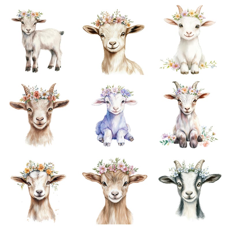 May include: Nine watercolor illustrations of goats wearing flower crowns. Each goat has a different colored crown and is depicted in a different pose. The goats are all facing forward and have a friendly expression.