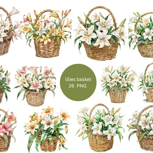 26 Lírios Cestas Aquarela Clipart, Floral Clipart, arquivos digitais PNG em fundo transparente, sublimação, uso comercial