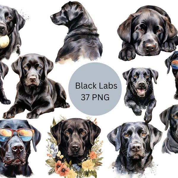 Watercolor Black Labs Clipart, PNG digital files on transparent background, sublimation, commercial use