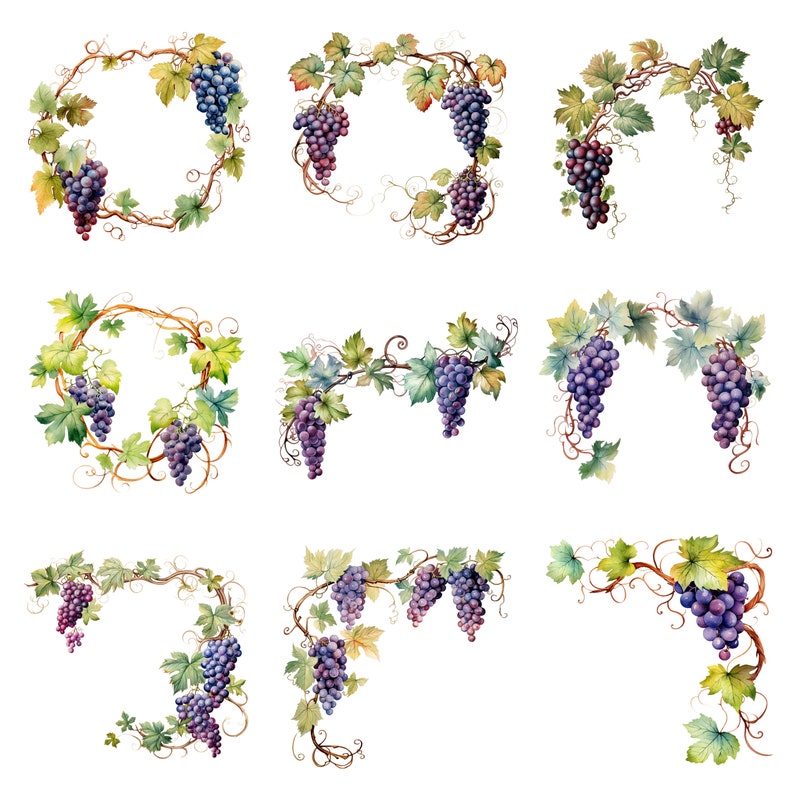 Small Triangle Grape Watercolor Vines With Grapes Clipart, PNG Digital Files on Transparent ...