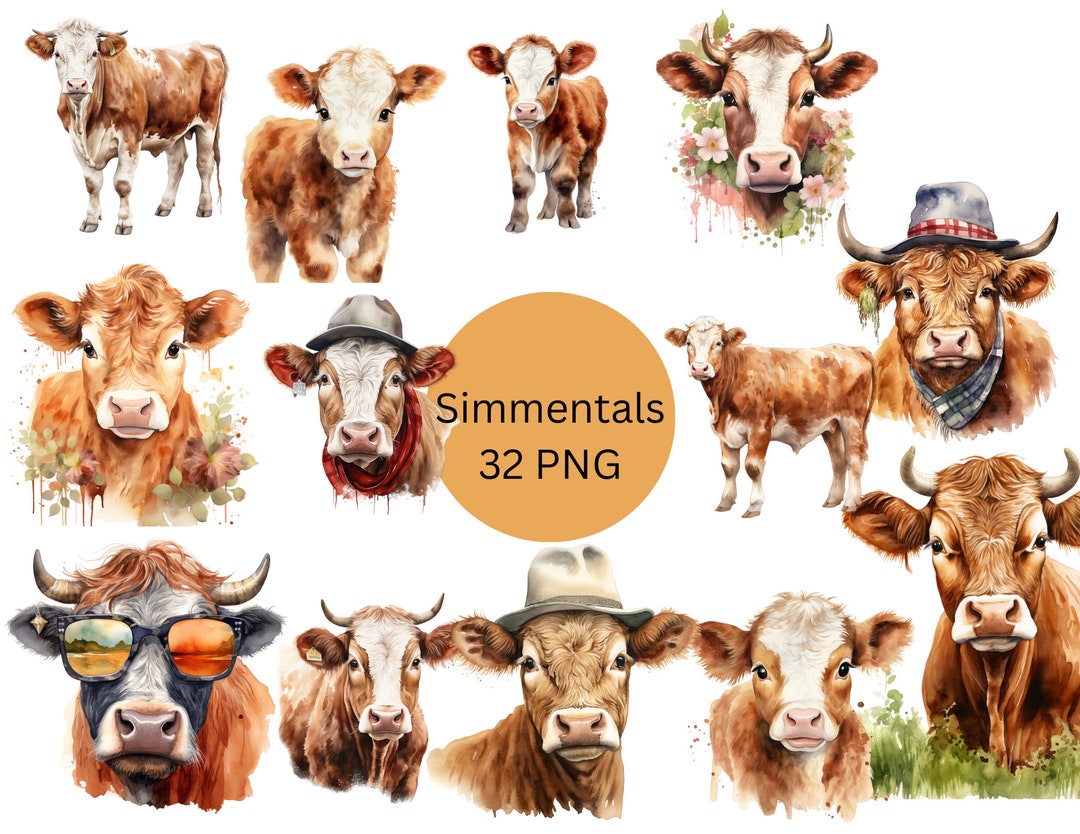 Watercolor Simmentals Clipart, PNG Digital Files on Transparent ...