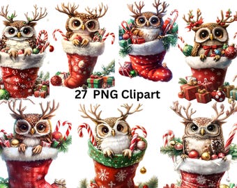27 Owls in Stockings Watercolor Clipart, Christmas Clipart, PNG individual images on transparent background, sublimation