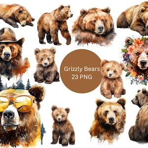 Clipart de ursos pardos em aquarela, arquivos digitais PNG em um fundo transparente, álbum de recortes, convites