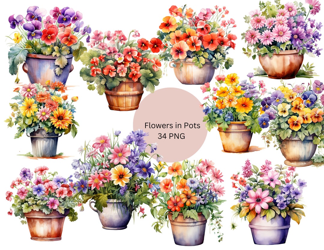 Watercolor Flowers in Pots Clipart, PNG Digital Files on Transparent