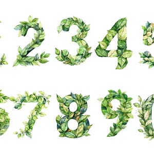 Clipart chiffres feuillus - chiffres verts inspirés de la nature PNG images individuelles sur fond transparent, sublimation, usage commercial