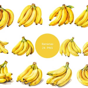 24 images clipart aquarelle bananes, cliparts de fruits, images individuelles PNG sur fond transparent, sublimation