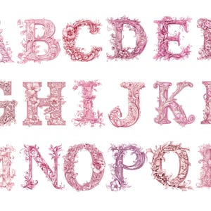 Elegant Pink Floral Alphabet - Ornate Romantic Letters png, instant download for commercial use, High resolution, 12x12, commercial use