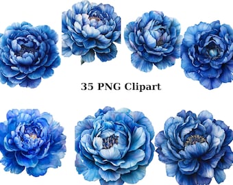 35 Blue Peonies Watercolor Clipart, Floral Clipart, PNG individual images on transparent background, sublimation