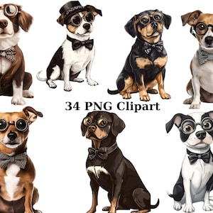 34 elegantes perros acuarela clipart, animales clipart, imágenes PNG individuales sobre fondo transparente, sublimación