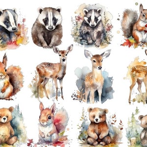 Aquarelle mignon forêt animaux Clipart, images PNG, téléchargement immédiat, Junk Journal, papier artisanat Scrapbooking, fond Transparent